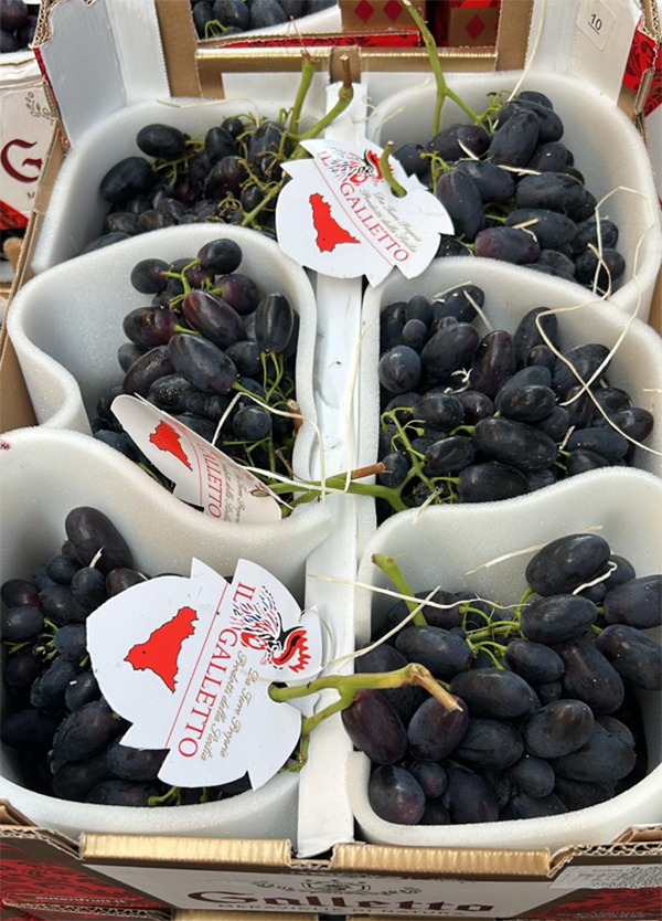 Uva Black Magic - Sicilia - 3,80 euro al chilogrammo